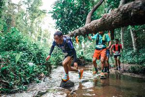 BIB: 
                            <button type="button" onclick="openModal(25369165)" class="btn btn-primary btn-sm float-right btn-popup" data-toggle="modal" data-target=".modal-high-quality">
                        <i class="fas fa-shopping-cart"></i> Add to Cart
                    </button>
                                            <button type="button" onclick="isThisMe(25369165, true)" class="btn btn-success btn-sm float-right btn-popup btn-isme hidden" data-toggle="tooltip" data-placement="bottom" title="นี่คือรูปของคุณใช่ไหม คลิกที่นี่เพื่อเอาเข้าอัลบั้ม">
                        <i class="fas fa-plus"></i> Add to album
                    </button>
                    <button type="button" onclick="isThisMe(25369165, false)" class="btn btn-warning btn-sm float-right btn-popup btn-isnotme hidden">
                        <i class="fas fa-ban"></i> Remove from album
                    </button>